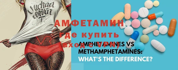 шишки Белокуриха