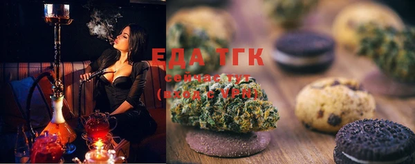 шишки Белокуриха