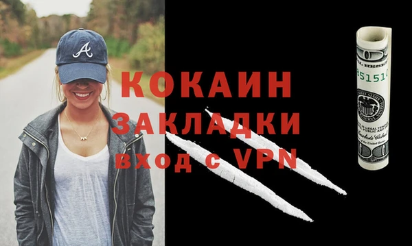 шишки Белокуриха