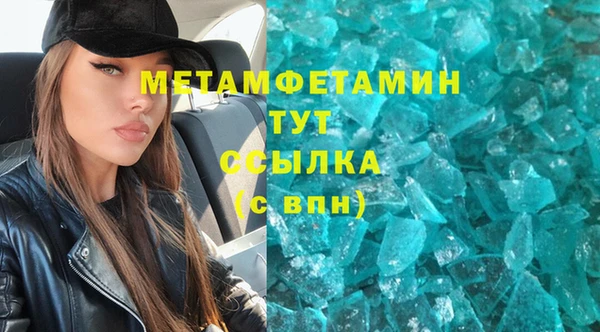 шишки Белокуриха