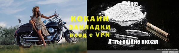 шишки Белокуриха