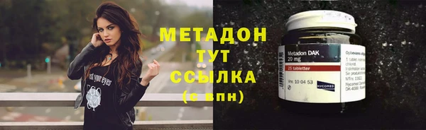 шишки Белокуриха