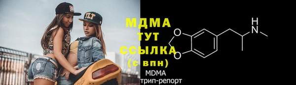 шишки Белокуриха