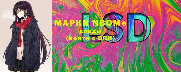 шишки Белокуриха