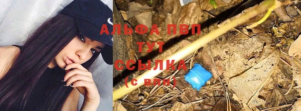 прущая мука Беломорск