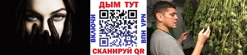 Каннабис семена  Купить где  Суджа 